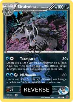 Carte Pokémon Team Aqua's Mightyena  Reverse n°18 de la série Double Danger